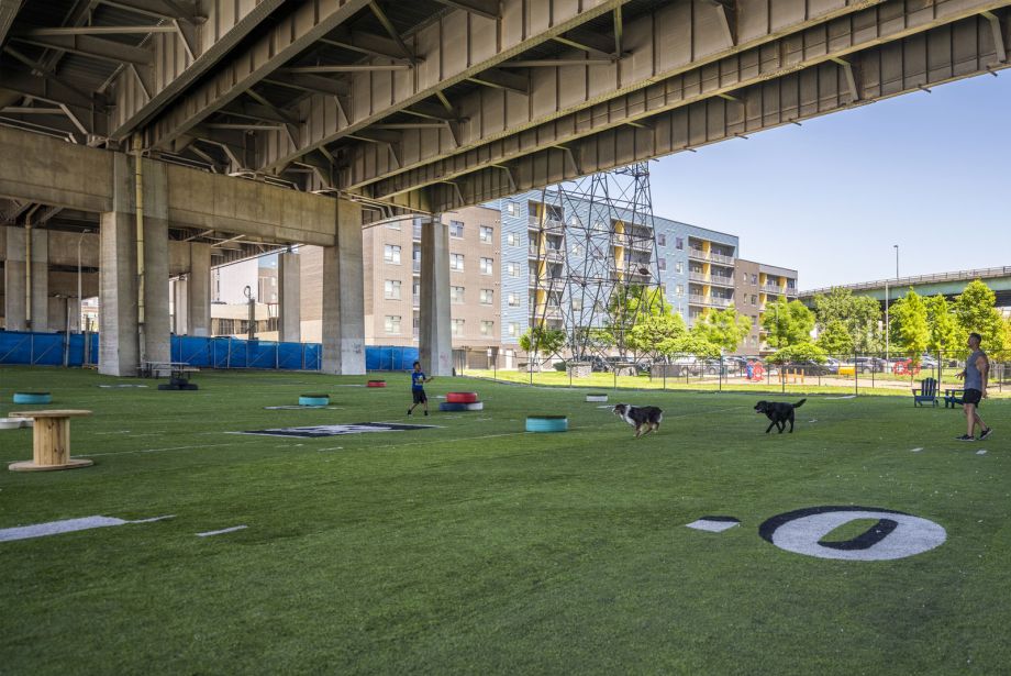 Learn more about CITYDOGs Downtown Kansas City Dog Park